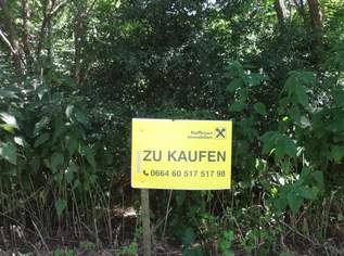 Verbuschtes Baugrundstück in ruhiger Lage ohne Bauzwang !, 631000 €, Immobilien-Grund und Boden in 7100 Gemeinde Neusiedl am See