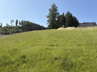 Ein Platz an der Sonne - Baugrundstück ohne Bauverpflichtung, 73500 €, Immobilien-Grund und Boden in 4193 Reichenthal