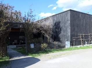 Großer moderner Holzbau, 450000 €, Immobilien-Häuser in 2004 Gemeinde Niederhollabrunn