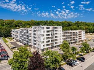 Gewerbefläche im Steingötterhof, 385000 €, Immobilien-Gewerbeobjekte in 3100 Stattersdorf Gewerbefläche im Steingötterhof, 385000 €, Immobilien-Gewerbeobjekte in 3100 Stattersdorf