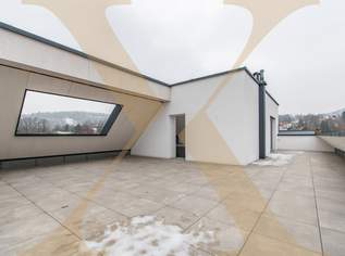 NEUBAU! Traumhafte 4-Zimmer-Penthousewohnung mit riesen Dachterrasse in Linz-Urfahr zu verkaufen!, 749000 €, Immobilien-Wohnungen in Oberösterreich