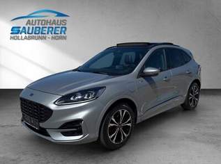 KUGA 2,5 PHEV *ST-Line X * I SCHIEBEDACH I, 23490 €, Auto & Fahrrad-Autos in Niederösterreich KUGA 2,5 PHEV *ST-Line X * I SCHIEBEDACH I, 23490 €, Auto & Fahrrad-Autos in Niederösterreich