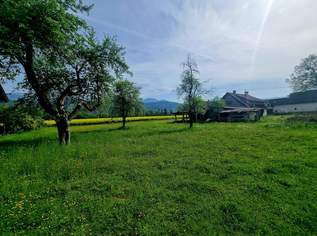 Großes Bauland Grundstück mit Altbestand, 180000 €, Immobilien-Häuser in 9800 Spittal an der Drau Großes Bauland Grundstück mit Altbestand, 180000 €, Immobilien-Häuser in 9800 Spittal an der Drau