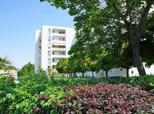 Verkehrsgünstig gelegene 3-Zimmer in Perchtoldsdorf Nähe Wr. Stadtgrenze, 340000 €, Immobilien-Wohnungen in 2380 Gemeinde Perchtoldsdorf