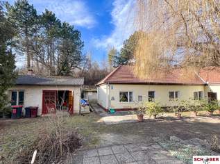 Traumgrund neben dem Wald mit sanierungsbedürftigem Althausbestand, 670000 €, Immobilien-Häuser in 2551 Enzesfeld Traumgrund neben dem Wald mit sanierungsbedürftigem Althausbestand, 670000 €, Immobilien-Häuser in 2551 Enzesfeld