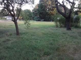 Gelegenheit mit Altbestand, Grundstück mit reduziertem Fixpreis!!!, 800000 €, Immobilien-Grund und Boden in 1220 Donaustadt