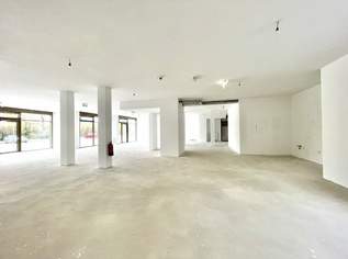 Leo am Teich - Wohnen am Badeteich Hirschstetten, 6426.58 €, Immobilien-Gewerbeobjekte in 1220 Donaustadt Leo am Teich - Wohnen am Badeteich Hirschstetten, 6426.58 €, Immobilien-Gewerbeobjekte in 1220 Donaustadt