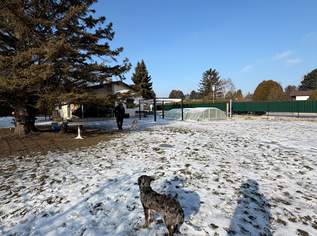 Charmantes Haus am Neufelder See - privater Seezugang