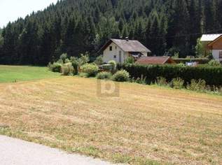 BAUGRUND IN RUHIGER LAGE, 53000 €, Immobilien-Grund und Boden in 9433 Blaiken BAUGRUND IN RUHIGER LAGE, 53000 €, Immobilien-Grund und Boden in 9433 Blaiken
