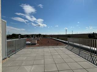 ZU VERMIETEN! bezugsfertige 3-Zimmer-Terrassenwohnung _Top 24_Wohnen im Kleegarten, 1479.93 €, Immobilien-Wohnungen in 2320 Kledering