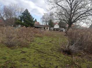 Besonderes Einfamilienhaus in Ruhelage mit grossem Garten!