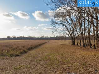 20.344 m² Land- und Forstwirtschaft (Sww), 610320 €, Immobilien-Grund und Boden in 1220 Donaustadt 20.344 m² Land- und Forstwirtschaft (Sww), 610320 €, Immobilien-Grund und Boden in 1220 Donaustadt