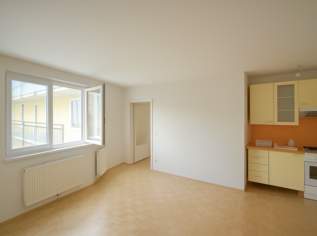 Ruhige Garçonnière am Laubepark, 137000 €, Immobilien-Wohnungen in 1100 Favoriten
