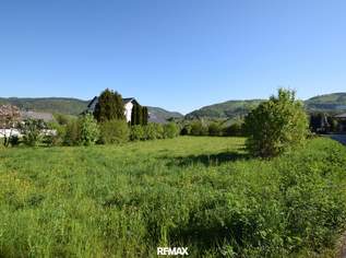 Baugrund ohne Bauverpflichtung in Schönbühel bei Melk, 120000 €, Immobilien-Grund und Boden in Niederösterreich