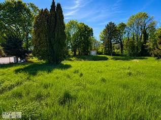 Top-Baugrundstück in Mauer mit beeindruckendem Panorama – Natur trifft Stadt!, 3450000 €, Immobilien-Grund und Boden in 1230 Liesing Top-Baugrundstück in Mauer mit beeindruckendem Panorama – Natur trifft Stadt!, 3450000 €, Immobilien-Grund und Boden in 1230 Liesing