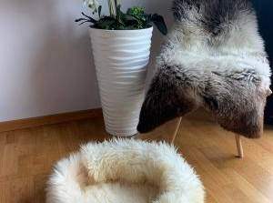 Katzenbetten aus natürlichem Schaffell, Premium, 65 €, Marktplatz-Tiere & Tierbedarf in 6824 Gemeinde Schlins
