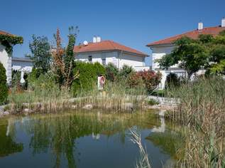 Modernes Familienhaus mit direktem Zugang zum privaten Schwimmteich, 319900 €, Immobilien-Häuser in 7011 Siegendorf