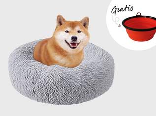 Kuschelbett + gratis Napf Kuschelbett (Ø 80cm, hellgrau) Kuschelbett + gratis Napf Kuschelbett (Ø 80cm, hellgrau)