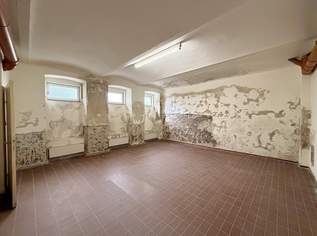 Greinergasse - 30,00m2 Lager im Souterrain zu vermieten, 241.67 €, Immobilien-Gewerbeobjekte in 1190 Döbling