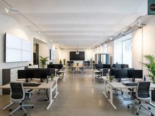 Loft in bester Hoflage der Brotfabrik Wien!, 2911.89 €, Immobilien-Gewerbeobjekte in 1100 Favoriten