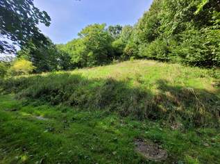 Baugrundstück ohne Bauverpflichtung in Hanglage, 87400 €, Immobilien-Grund und Boden in 4707 Schlüßlberg Baugrundstück ohne Bauverpflichtung in Hanglage, 87400 €, Immobilien-Grund und Boden in 4707 Schlüßlberg
