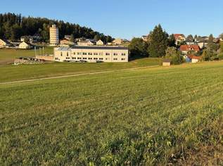 Attraktives Grundstück mit Potential in Zentrumsnähe!, 122100 €, Immobilien-Grund und Boden in 4150 Rohrbach-Berg