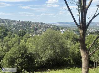 Grünland mit Zufahrt und Aussicht, 65000 €, Immobilien-Grund und Boden in 3400 Gemeinde Klosterneuburg