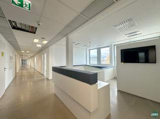 Hochwertige Bürofläche samt großzügiger Terrasse an der Brigittenauer Lände, 15945.23 €, Immobilien-Gewerbeobjekte in 1200 Brigittenau Hochwertige Bürofläche samt großzügiger Terrasse an der Brigittenauer Lände, 15945.23 €, Immobilien-Gewerbeobjekte in 1200 Brigittenau