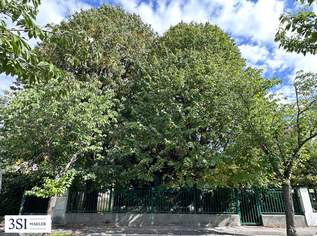 Investition in Zukunft, Familie und Lebensqualität - Ihr neues Zuhause, 494000 €, Immobilien-Grund und Boden in 1230 Liesing Investition in Zukunft, Familie und Lebensqualität - Ihr neues Zuhause, 494000 €, Immobilien-Grund und Boden in 1230 Liesing