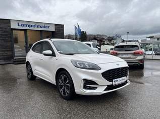 Kuga ST-Line X, 27900 €, Auto & Fahrrad-Autos in 5163 Mattsee