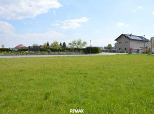 Anleger aufgepasst - Baugrund ohne Bauverpflichtung Nähe Amstetten, 59900 €, Immobilien-Grund und Boden in 3372 Katastralgemeinde Blindenmarkt