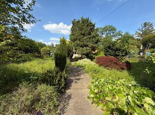 Gartenparadies zu kaufen!, 800000 €, Immobilien-Grund und Boden in 1230 Liesing Gartenparadies zu kaufen!, 800000 €, Immobilien-Grund und Boden in 1230 Liesing