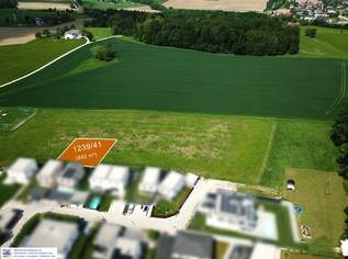 Baugrundstücke in Katsdorf / Ruhstetten – sonnige Lage, ideal für 1–3 Wohneinheiten je Parzelle, 160500 €, Immobilien-Grund und Boden in 4223 Katsdorf