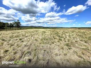 Ebenes Baugrundstück am sonnigen Ortsrand von Deutsch Schützen, 68000 €, Immobilien-Grund und Boden in 7474 Deutsch Schützen Ebenes Baugrundstück am sonnigen Ortsrand von Deutsch Schützen, 68000 €, Immobilien-Grund und Boden in 7474 Deutsch Schützen