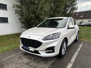 Kuga 1,5 EcoBlue ST-Line Aut., 23990 €, Auto & Fahrrad-Autos in 8435 Wagna Kuga 1,5 EcoBlue ST-Line Aut., 23990 €, Auto & Fahrrad-Autos in 8435 Wagna