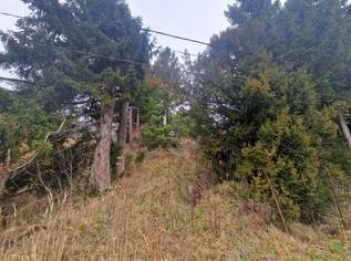 SONNIGE LEBENSQUALITÄT: ZWEI BAUGRUNDSTÜCKE IN WEIDLINGBACH MIT HOHER LEBENSQUALITÄT OHNE BAUZWANG, 455280 €, Immobilien-Grund und Boden in 3400 Weidlingbach