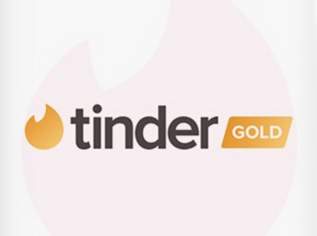 Tinder Gold 12 Monate Abo, 30 €, Marktplatz-Computer, Handys & Software in 1010 Innere Stadt