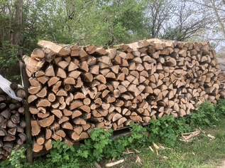 hartes  Brennholz, 95 €, Haus, Bau, Garten-Hausbau & Werkzeug in 3730 Röschitz hartes  Brennholz, 95 €, Haus, Bau, Garten-Hausbau & Werkzeug in 3730 Röschitz