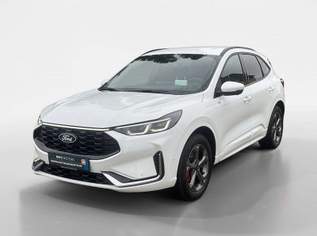 Kuga 2,5 Duratec FHEV ST-Line X Allrad Aut., 38990 €, Auto & Fahrrad-Autos in 2345 Brunn am Gebirge Kuga 2,5 Duratec FHEV ST-Line X Allrad Aut., 38990 €, Auto & Fahrrad-Autos in 2345 Brunn am Gebirge