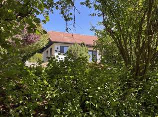 Bungalow mit traumhaften Grundstück nur ca. 20 Minuten von Linz!, 390000 €, Immobilien-Häuser in 4211 Alberndorf in der Riedmark Bungalow mit traumhaften Grundstück nur ca. 20 Minuten von Linz!, 390000 €, Immobilien-Häuser in 4211 Alberndorf in der Riedmark