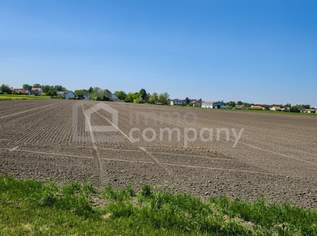 Bauerwartungsland im Speckgürtel von Wien!!, 2154000 €, Immobilien-Grund und Boden in 2433 Margarethen am Moos Bauerwartungsland im Speckgürtel von Wien!!, 2154000 €, Immobilien-Grund und Boden in 2433 Margarethen am Moos