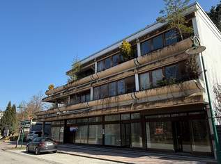 Wohn- & Geschäftshaus mit Kurparkblick im Zentrum von Bad Tatzmannsdorf, 694000 €, Immobilien-Häuser in 7431 Bad Tatzmannsdorf