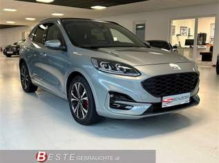 Kuga 2,0 EcoBlue Hybrid ST-Line X Aut., 29490 €, Auto & Fahrrad-Autos in 4663 Laakirchen