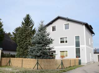 Dachgeschoßwohnung mit 200 m2 Garten, 955.81 €, Immobilien-Wohnungen in 2512 Katastralgemeinde Tribuswinkel Dachgeschoßwohnung mit 200 m2 Garten, 955.81 €, Immobilien-Wohnungen in 2512 Katastralgemeinde Tribuswinkel