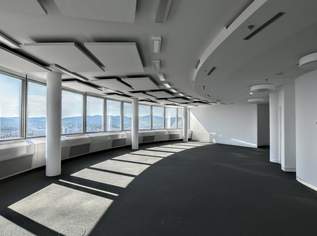 Bürofläche im Millenniumtower, 13228.9 €, Immobilien-Gewerbeobjekte in 1200 Brigittenau