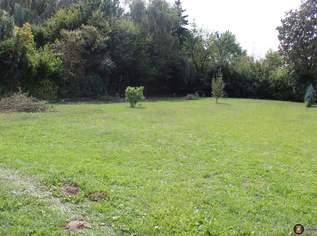 Oberwart: Schönes Baugrundstück in guter Lage, 76000 €, Immobilien-Grund und Boden in 7400 Oberwart