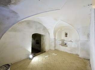 Variabler Lagerraum in Pfaffstätten mit eigenem Eingang, 640.07 €, Immobilien-Gewerbeobjekte in 2511 Gemeinde Pfaffstätten