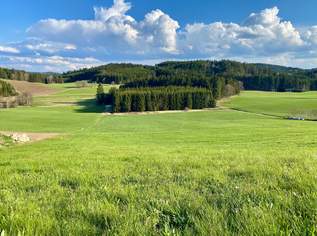 Baugrund in Dorfrandlage, 46000 €, Immobilien-Grund und Boden in 4252 Liebenau Baugrund in Dorfrandlage, 46000 €, Immobilien-Grund und Boden in 4252 Liebenau