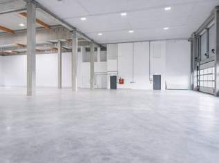 Kombination Lagerhalle 350 m2 + Büro 300 m2 südlich von Wien, in Wr. Neudorf, 8818.7 €, Immobilien-Gewerbeobjekte in 2351 Gemeinde Wiener Neudorf