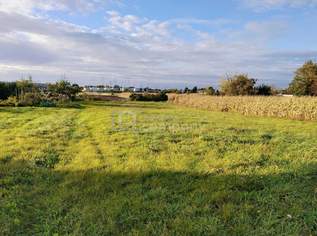 Baugrundstück mit unverbaubarem Fernblick - wunderbare Grünruhelage!, 369000 €, Immobilien-Grund und Boden in 7111 Parndorf